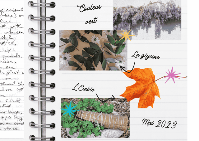 Copie de portfolio intro 1