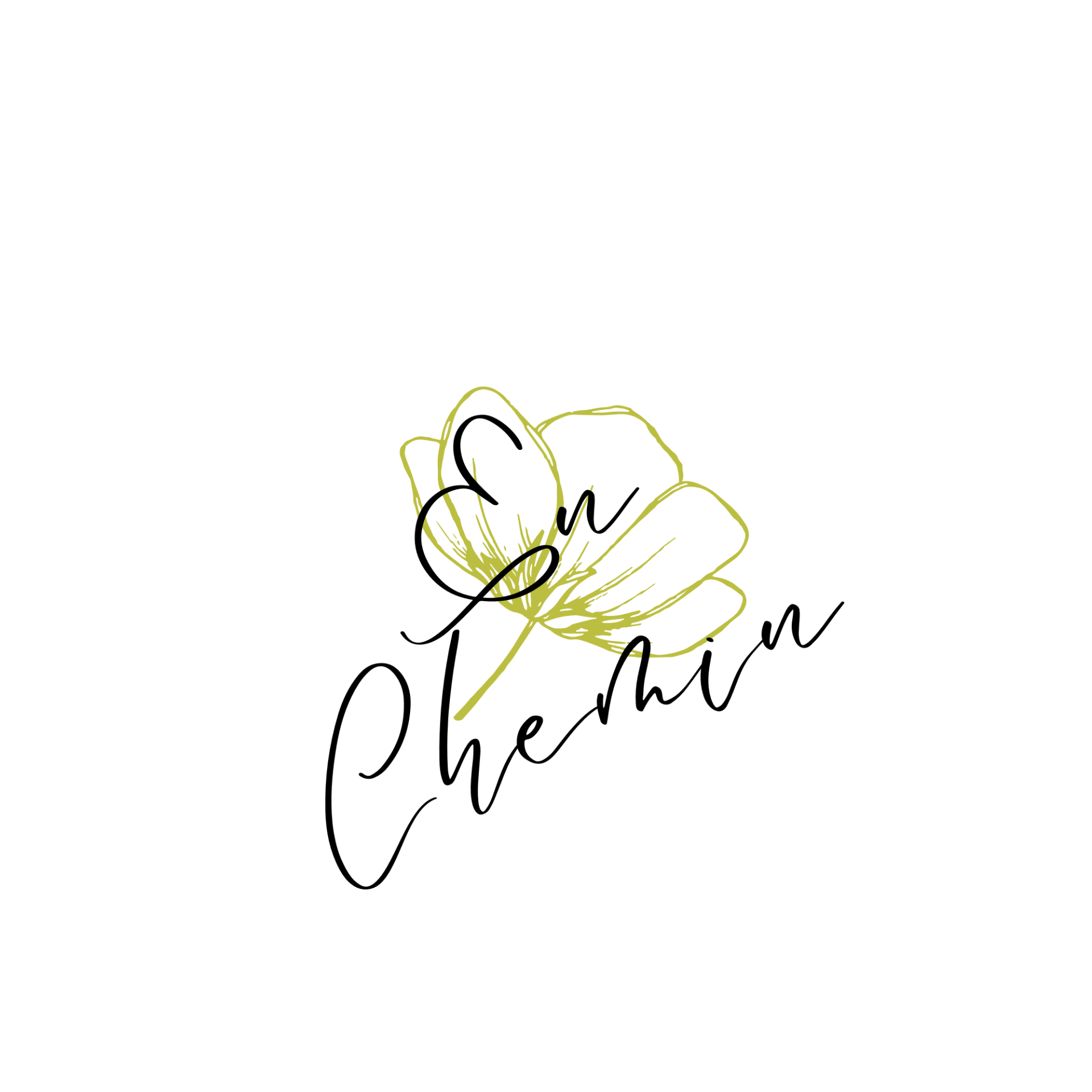 eco-print-et-teintes-vegetales